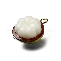 Латунные подвески из акрила OACR-R006-01G-08