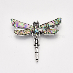 Броши / подвески из ракушек морского ушка / пауа SHEL-S275-39A