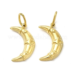 Ионное покрытие (ip) подвески из нержавеющей стали 304 STAS-F284-04G