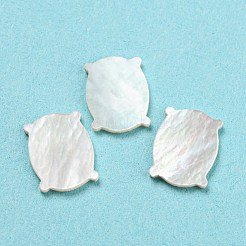 Cabochoni naturali di shell marini&nbsp;SHEL-D079-08