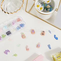 1 набор двухцветных ломтиков ракушек&nbsp;MRMJ-SP0001-05B