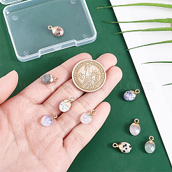 9 шт. 9-х цветные подвески с гальваническим покрытием из драгоценных камней&nbsp;G-HY0001-78