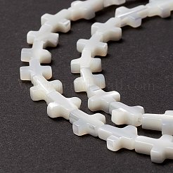 Бусины из натуральных трохоидных/трохус ракушек SSHEL-O0001-22B