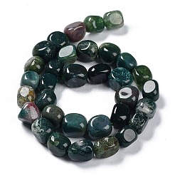 Naturali indian agata fili di perline&nbsp;G-C038-02R