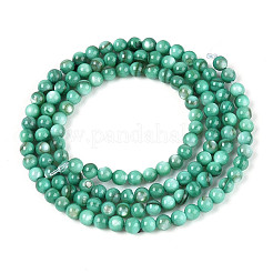 Eau douce naturelle de coquillage perles brins&nbsp;BSHE-T009A-01J