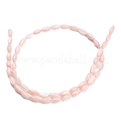 Eau douce naturelle de coquillage perles brins&nbsp;SHEL-C010-01F