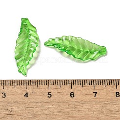 Transparenten Acryl-Anhänger&nbsp;OACR-E039-69A