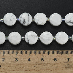 Природные Говлит бисер нитей G-F812-C08-01