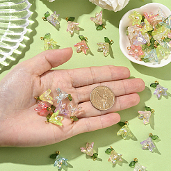 48шт 8 цвета прозрачные акриловые подвески&nbsp;FIND-SC0016-70