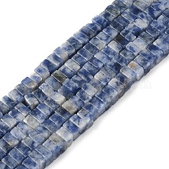 Натуральное синее пятно нитки из бисера яшмы G-I394-A08