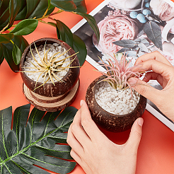 Кокосовый подсвечник COCB-WH0001-01