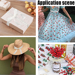 2 рулон 2 стилей шифоновой кружевной отделки для украшения шитья&nbsp;OCOR-CY0001-65A