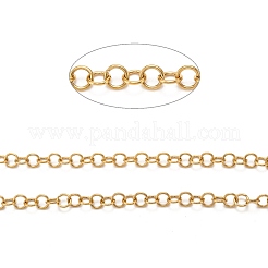 Ионное покрытие (ip) 304 нержавеющая сталь роллерные цепи CHS-L014-06G