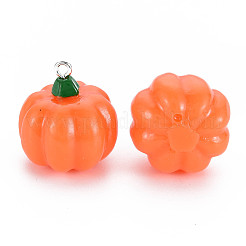 Подвески из непрозрачной смолы на осеннюю тематику&nbsp;LS-X-RESI-S356-079
