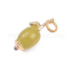 Подвески из нержавеющей стали 304 с эмалью&nbsp;STAS-B125-02B-G