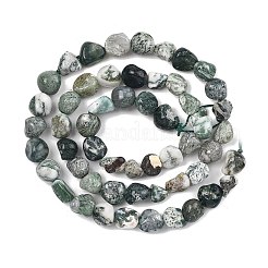 Натурального дерева агат бисер нитей&nbsp;G-D362-A01