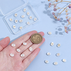 26 шт. 26 вида натуральных ракушечных бусин овальной формы FIND-PH0027-41