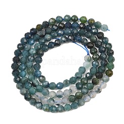 Brins de perles de tourmaline bleue naturelle&nbsp;G-G294-A02-3mm-01