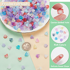 10цвет двухцветные акриловые колпачки для бусин MACR-PH0001-71