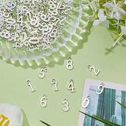 12 Set Anhänger aus Legierung im tibetischen Stil.&nbsp;TIBEP-ME0001-12AS