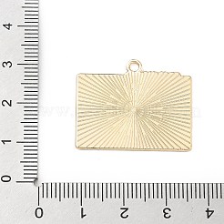 Подвески из спортивного сплава с эмалью&nbsp;ENAM-I074-01G-08