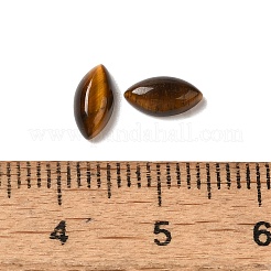 Cabochons en œil de tigre naturel&nbsp;G-F772-01B-10