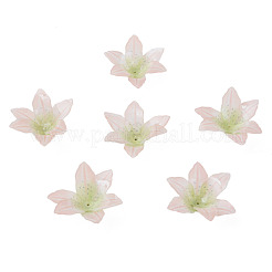 Пластиковые шарики KY-N015-154