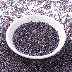 Perles rocailles miyuki rondes&nbsp;X-SEED-G007-RR1013