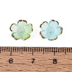 Chapeaux de perles en plastique&nbsp;KY-Q005-04A-11