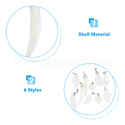 10 шт. 5 подвески из натуральной ракушки трохид/ракушки трохус SSHEL-FH0001-18