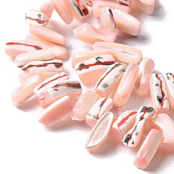 Окрашенные нити натуральных бусин-ракушек трохуса SSHEL-C013-09L