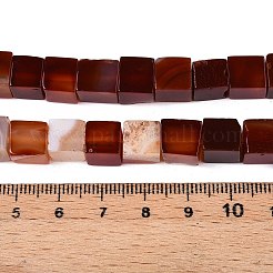 Бусины из натурального красного агата (окрашенные и нагретые)&nbsp;G-T139-8x8-35A