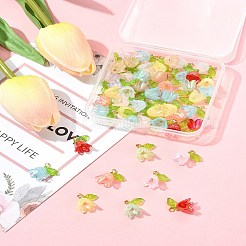 50шт прозрачные акриловые подвески&nbsp;PALLOY-FS00043-03