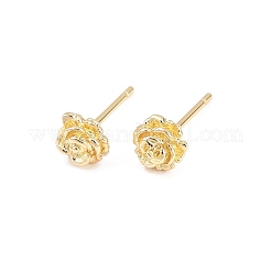 Clous d'oreilles en laiton&nbsp;EJEW-P346-01C-G