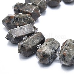 Натуральный флуоресцентный сиенитовый камень (светящийся в ультрафиолетовом свете) бусины нити G-F715-044