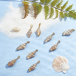 Подвески из ракушек с гальваническим покрытием&nbsp;HJEW-SC0001-08