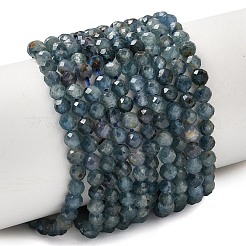 Natürliche kyanit / cyanit / disthen perlen stränge&nbsp;G-G259-D04-3mm