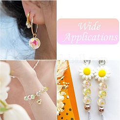 Металлизированный прозрачные акриловые шарики TACR-CJC0001-12