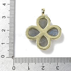 Подвески из натурального лабрадорита с огранкой&nbsp;G-A308-01G-14