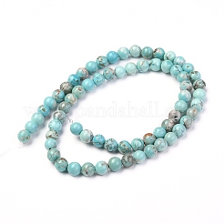 Природные Говлит бисер нитей X-G-L555-02-6mm