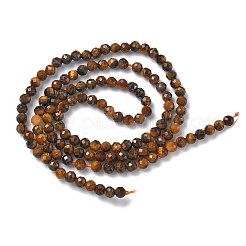 Природных тигровый глаз бисер нитей&nbsp;G-L651-C14-3mm
