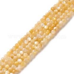 Hebras de cuentas de concha amarilla dorada natural, facetados, redondo, 2mm, agujero: 0.6 mm, aproximamente 165 pcs / cadena, 15.55 pulgada (39.5 cm)