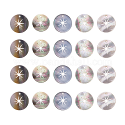 Pendentifs de coquille noire, plat et circulaire avec étoile, 20x1mm, Trou: 1.5mm
