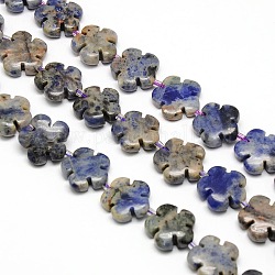 Fleur naturelle tache bleue perles de jaspe brins, 15x5.5mm, Trou: 1mm, Environ 27 pcs/chapelet, 16.53 pouce