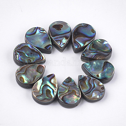 Abalone shell / paua shell beads, lágrima, colorido, 14x10x3.5~4mm, agujero: 1 mm