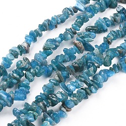 Natürliche Apatit Perlen Stränge, Chip, Deep-Sky-blau, 5~13x3~8 mm, Bohrung: 0.6 mm, 33~33.4 Zoll (84~85 cm)