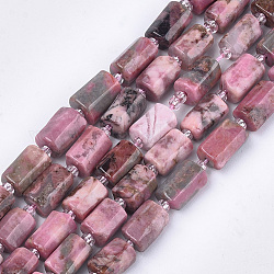 Chapelets de perles en rhodonite naturelle, facette, colonne, 9~11x6~7x6~7mm, Trou: 0.9mm, Environ 15~17 pcs/chapelet, 7.28~7.48 pouce