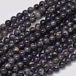 Brins de perles rondes en cordiérite naturelle / iolite / dichroite, 6mm, Trou: 1mm, Environ 68 pcs/chapelet, 15.5 pouce