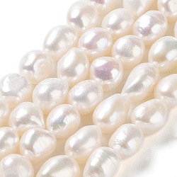 Fili di perle di perle d'acqua dolce coltivate naturali, due lati lucidati, grado 5 un, colore conchiglia, 9~10x8~9x7~8mm, Foro: 0.6 mm, circa 36~37pcs/filo, 13.78'' (35~36 cm)