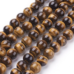 Chapelets de perles d'œil de tigre naturel, Grade a, ronde, verge d'or, 8 mm; environ 49 pcs / brin, 15 pouce